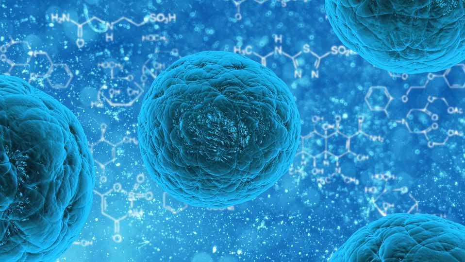 Stem Cell Therapy Research & Evidence