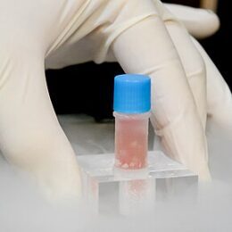 regenerative medicine solution