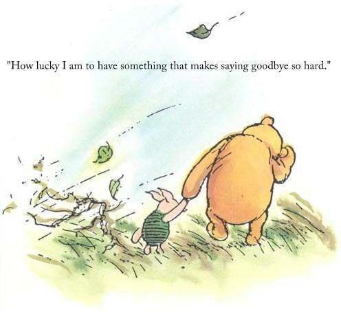 Winnie the pooh
