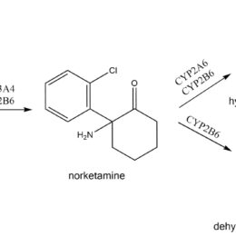 Chemical diagram of the ketamine molecule