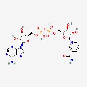 Nicotinamide Adenine Dinucleotide