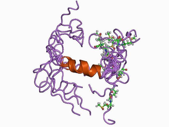 Peptide Evidence