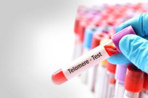 telomere test