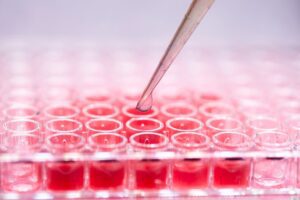 cell culture laboratory