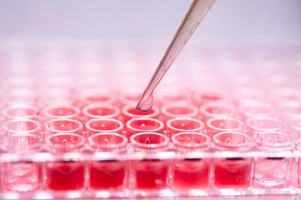 cell culture laboratory