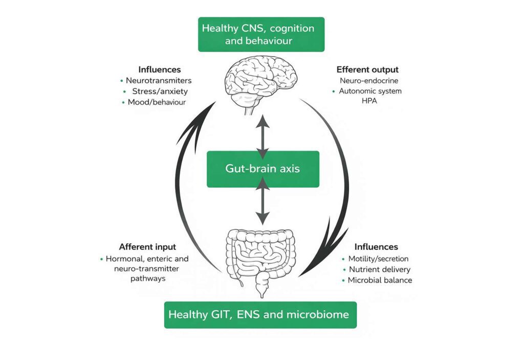 Understanding Chronic Organ Dysfunction - The Gut Brain Axis