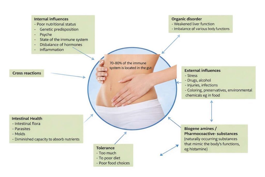 Chronic inflammation in the gut