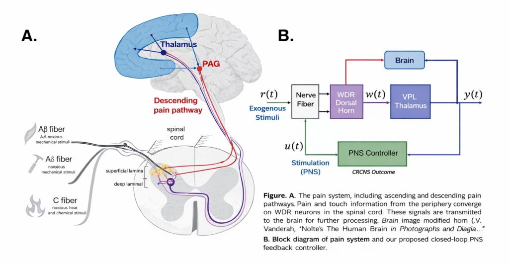 What is chronic pain?